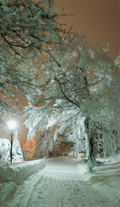 Snowy Road